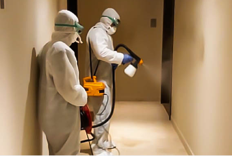 mplus launches disinfection service for apartments, villas and offices